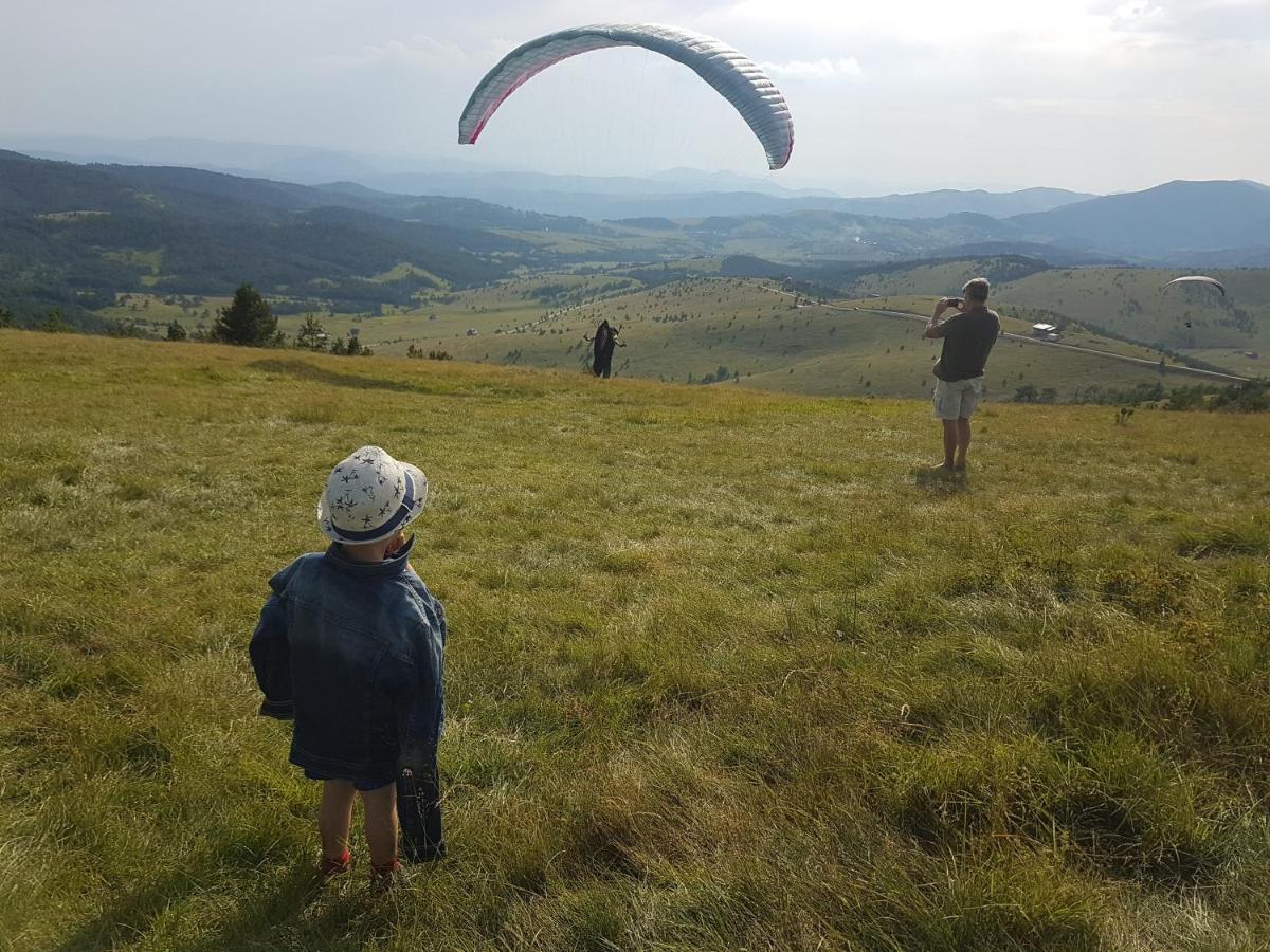 Villa Ducic Zlatibor Luaran gambar